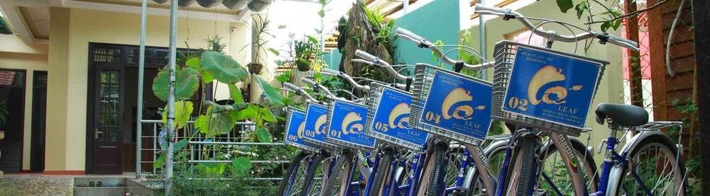 Leaf Homestay Hoi An Eksteriør bilde