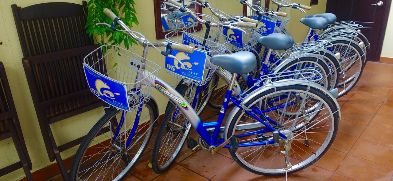 Leaf Homestay Hoi An Eksteriør bilde