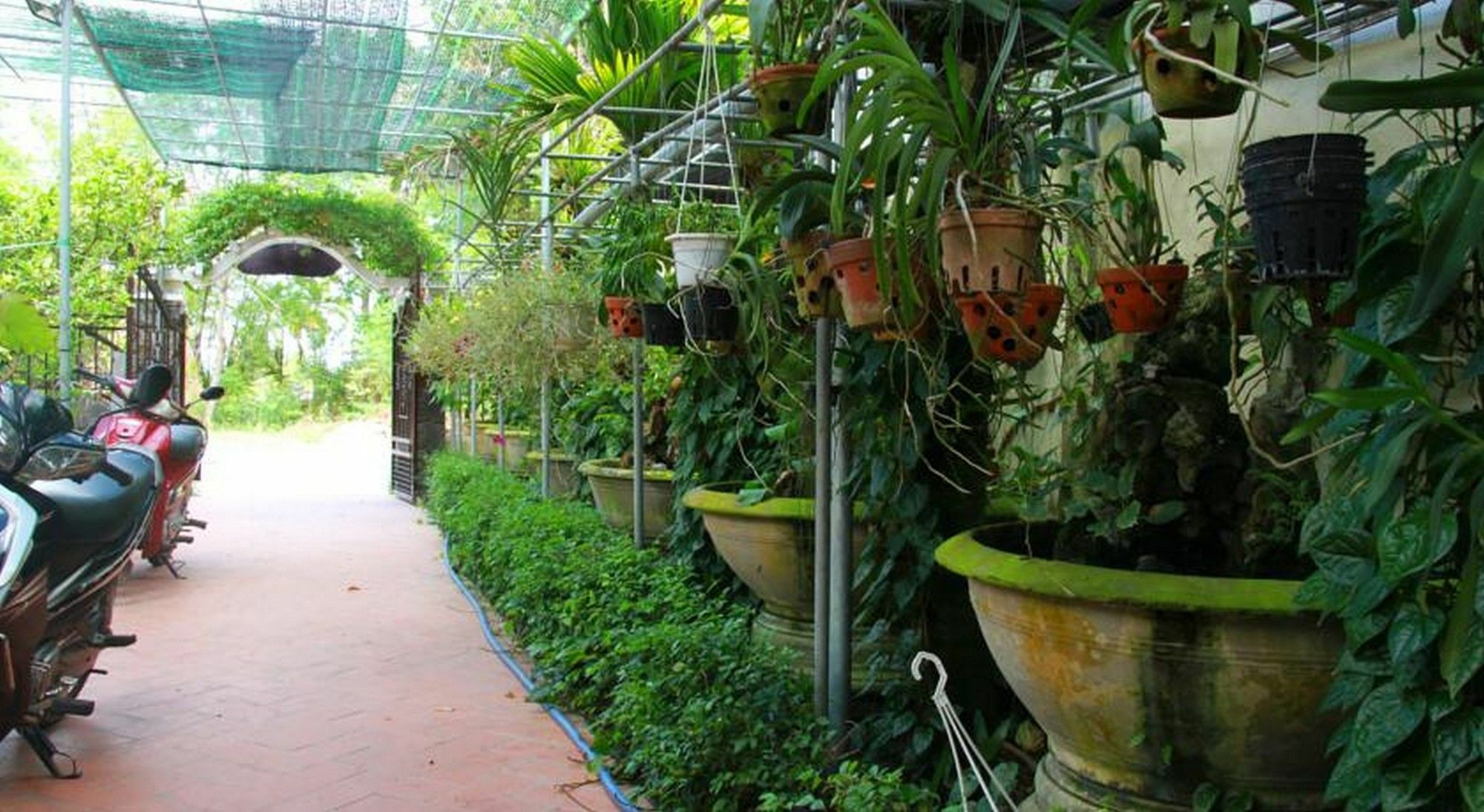 Leaf Homestay Hoi An Eksteriør bilde
